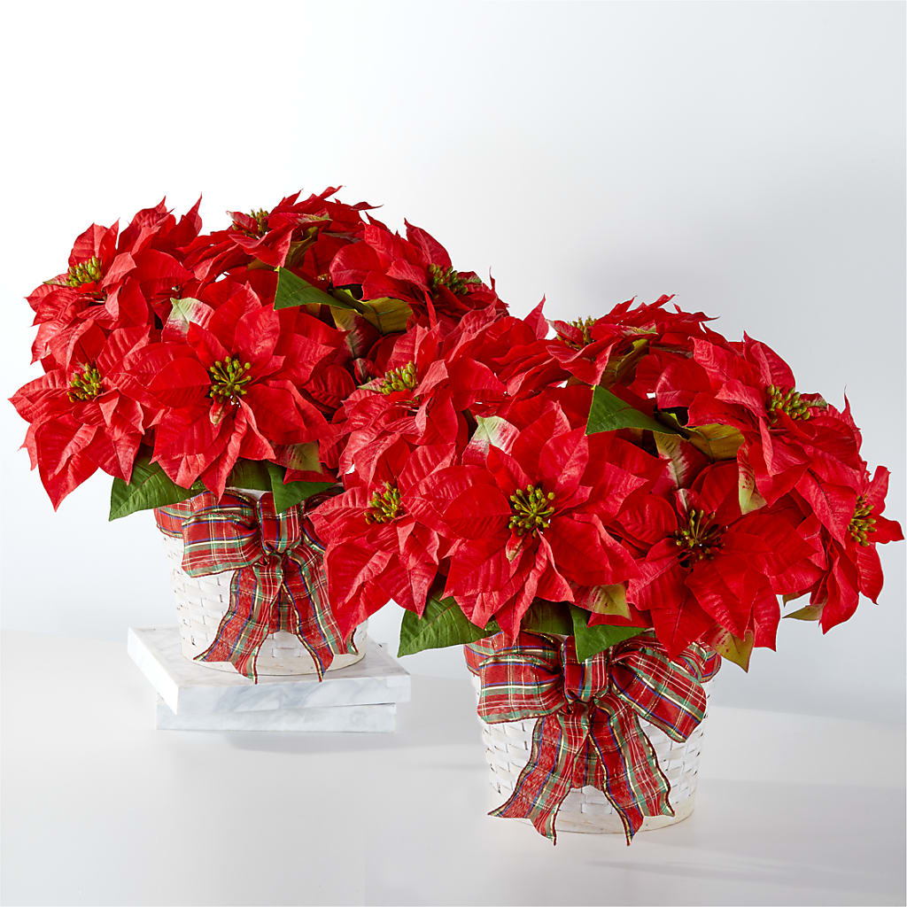 Happiest Holidays Poinsettia Bundle – Decor Flowers And Events, Katy TX