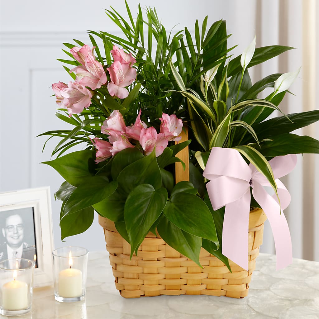 Living Spirit Dishgarden – Decor Flowers And Events, Katy TX