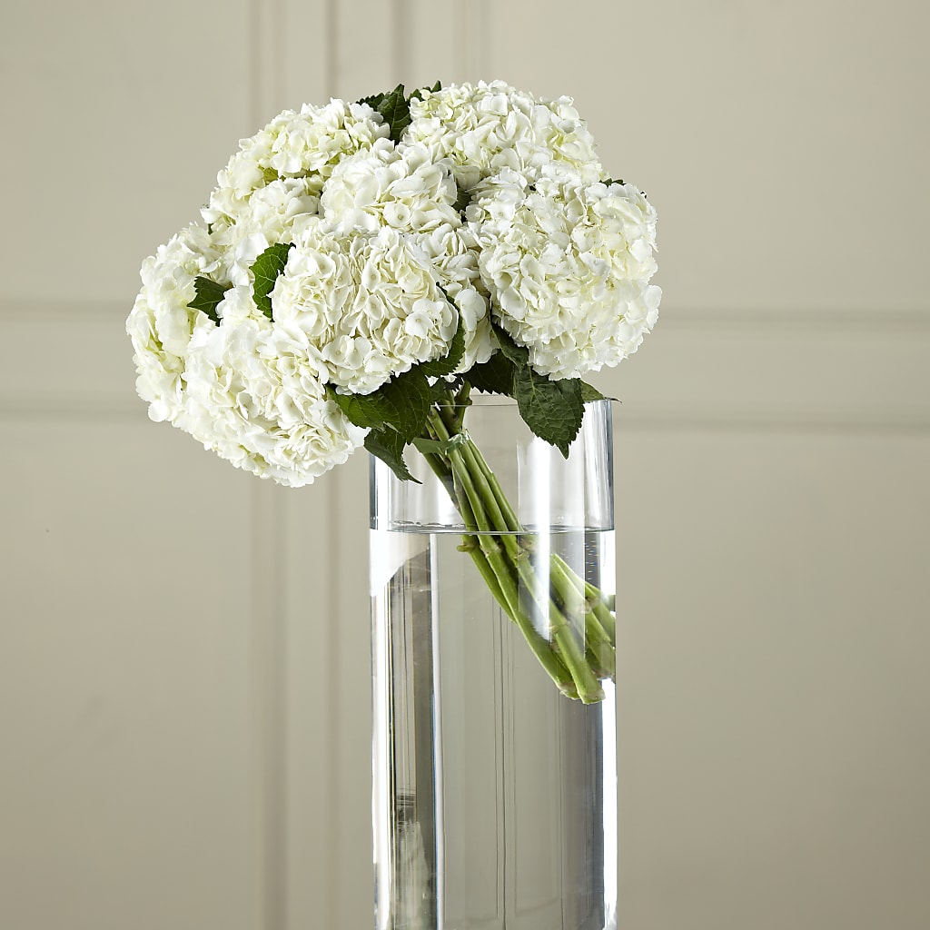 White Hydrangea Hand-Tied Bouquet – Decor Flowers And Events, Katy TX